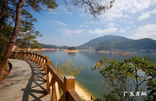 我没钱只买得起盗版书，这可耻吗？