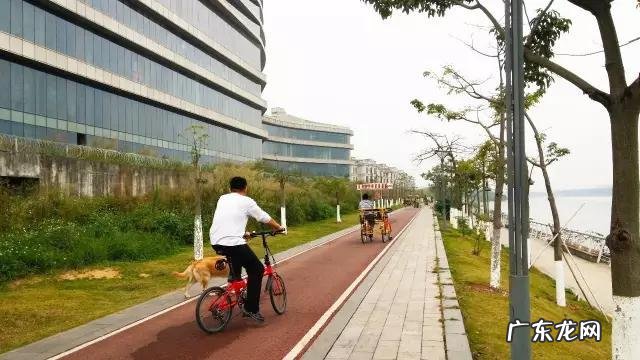 我没钱只买得起盗版书，这可耻吗？