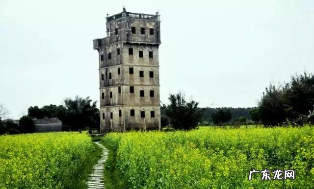 我没钱只买得起盗版书，这可耻吗？