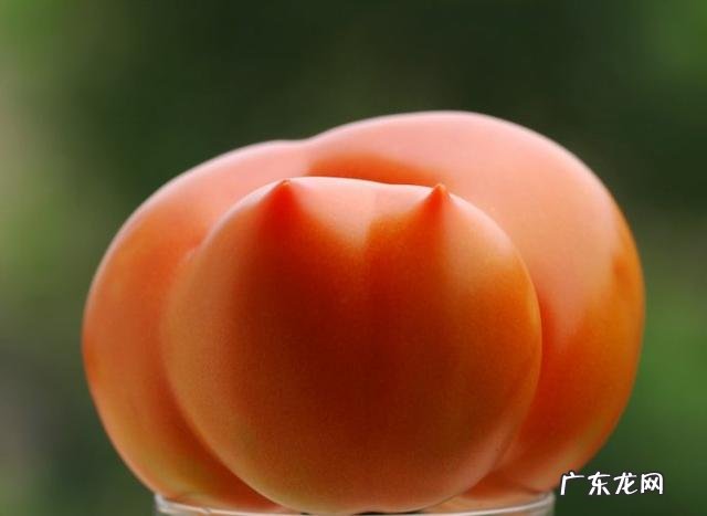 催熟西红柿有什么危害?该如何分辨?