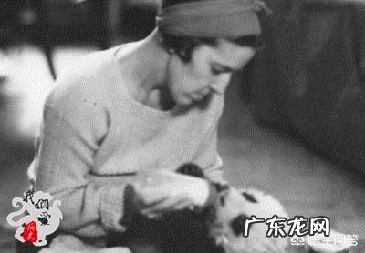 当年盗捕中国熊猫的美国女人下场如何?