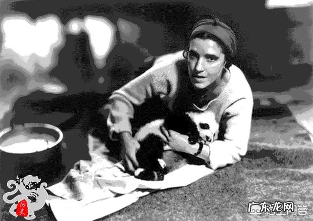 当年盗捕中国熊猫的美国女人下场如何?