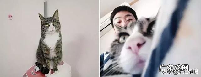 减肥=整容!曾为戏增重20斤“谐星”竟变小鲜肉?