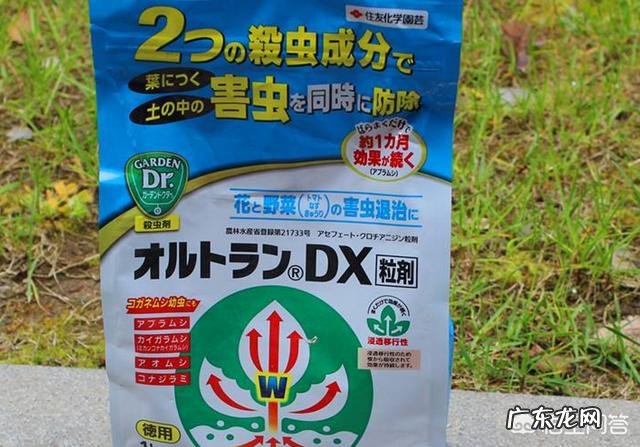 肉肉一盆一次用多少小白药