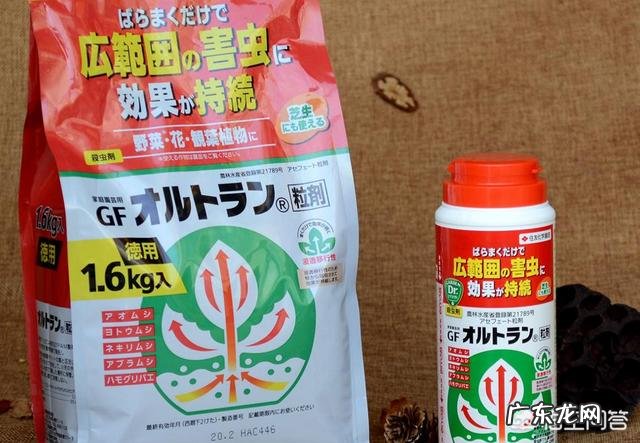 肉肉一盆一次用多少小白药