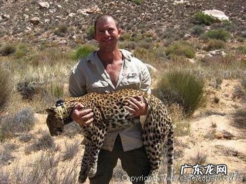 普通成年男子赤手空拳能干的过花豹吗