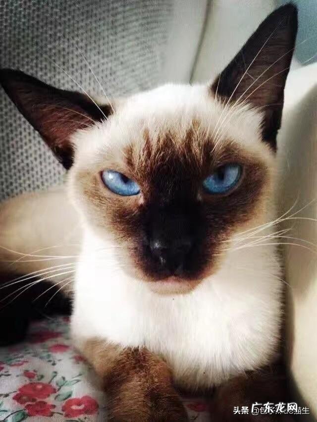 激光脱毛能保持多久的效果