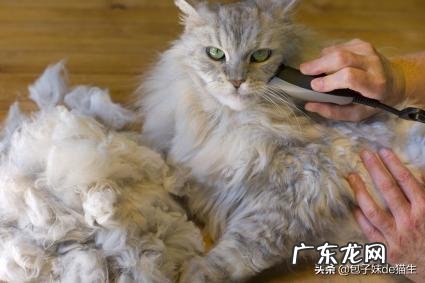 激光脱毛能保持多久的效果