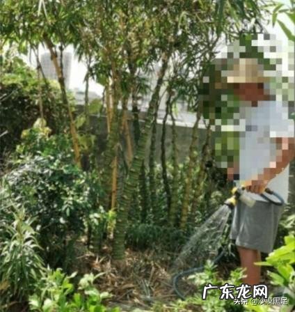 一个爱干净和一个邋遢的人生活在一起,会是什么样子的?