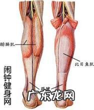 女生的小腿肌要怎么减呢,有没有什么小秘诀啊?