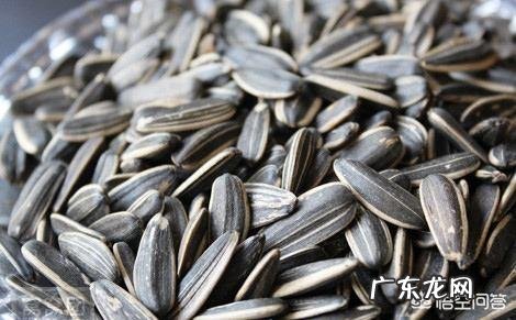 经常吃坚果对人体有什么好处?