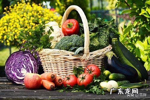 夏天比较适合的减肥菜品有哪些推荐的? 适合夏天的家常菜减肥