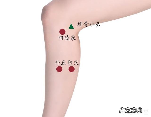 体内痰湿重,怎样排湿毒?