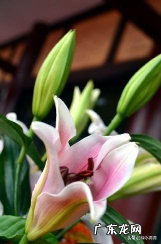 男女之间,性格不同,还是性格类似,那更能长久?