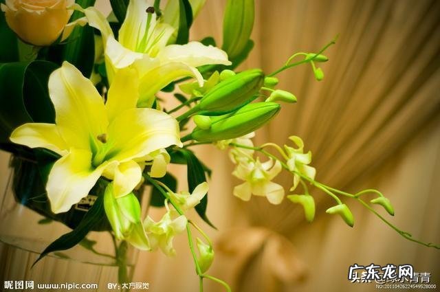 男女之间,性格不同,还是性格类似,那更能长久?