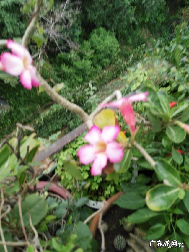 男女之间,性格不同,还是性格类似,那更能长久?