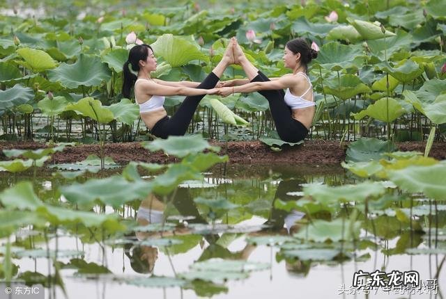 现在有什么草药适合怀化地区的土壤生长?