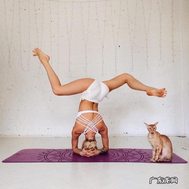 在健身房上完私教的拉伸课，大腿隔天出现红淤青，这样正常吗？