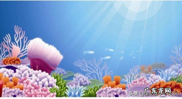 中药的性味归经是怎样确定下来的,依据在哪里?