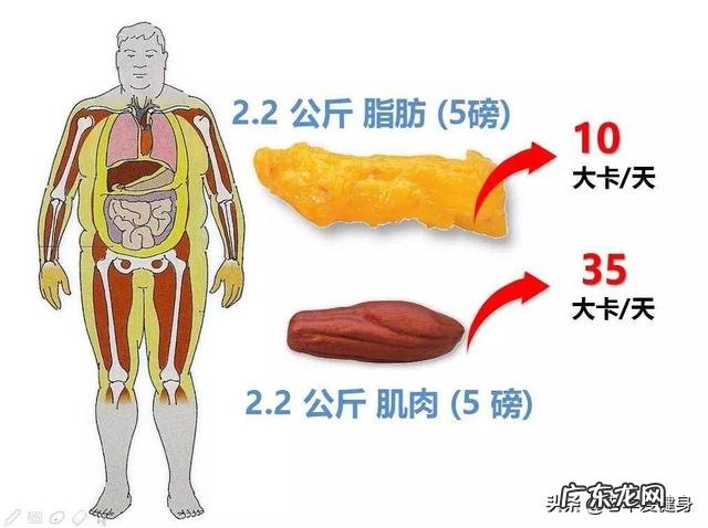 女生怎么从130斤瘦到100斤？ 怎么从300斤瘦到100斤