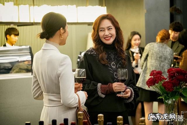 夫妻的世界因尺度大被处罚这是一部什么样的电视剧 韩国电视剧夫妻的世界