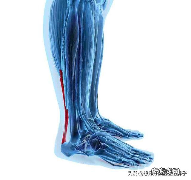 身高160体重135斤,想在6个月内瘦到100斤,该怎么减肥