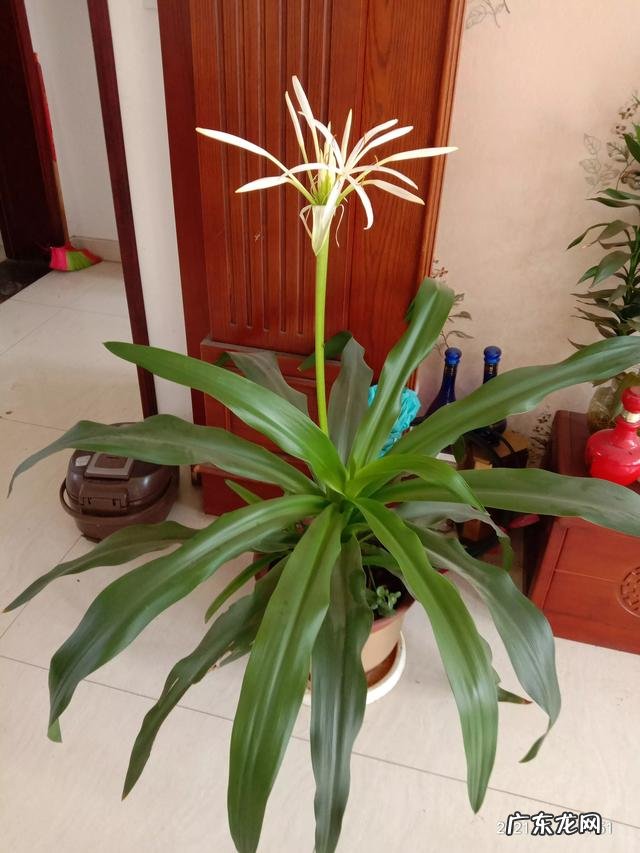 睡觉的重要性作文600字?