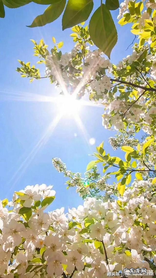 大家有什么好的生活方式让生活充满新奇和热情么？