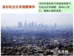 洛杉矶事件的起因是什么？