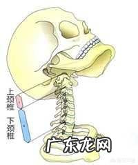 富贵包,最佳处理方式是穴位按摩,对此,你认可吗?