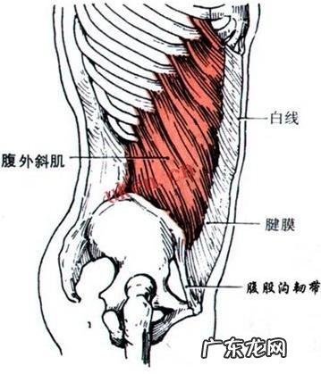 在健身房里怎样练,才能练出八块腹肌?