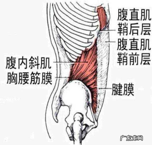 在健身房里怎样练,才能练出八块腹肌?