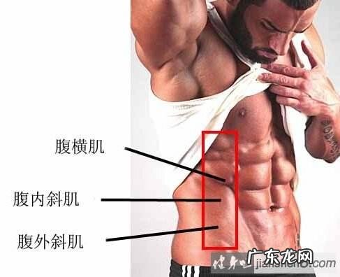 在健身房里怎样练,才能练出八块腹肌?