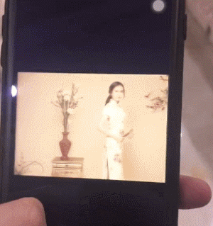 你手机里有哪些搞笑的GIF?