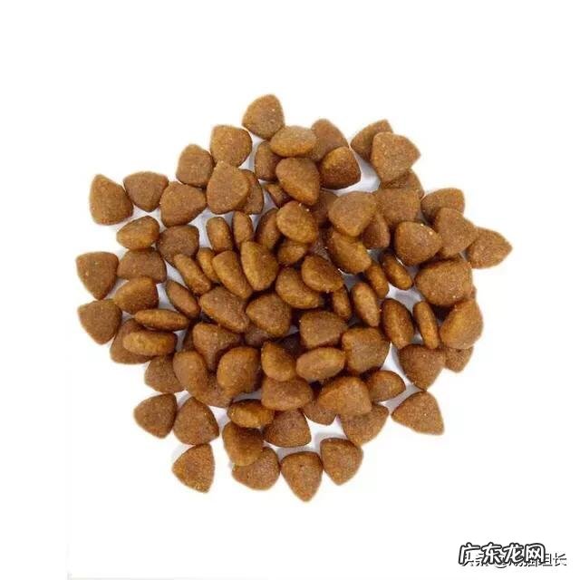 怎么挑选适合猫咪的猫粮?