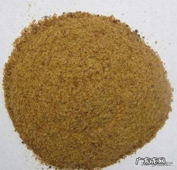 怎么挑选适合猫咪的猫粮?