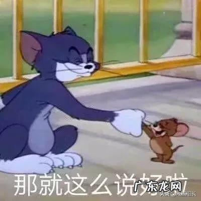 怎么挑选适合猫咪的猫粮?