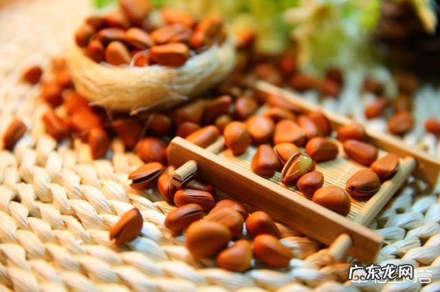 干果一天吃多少量最合适？