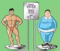 为什么我2个月一直没掉秤