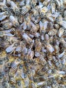 离过婚，相亲的时候遇到和你前妻差不多性格的人，怎么办？