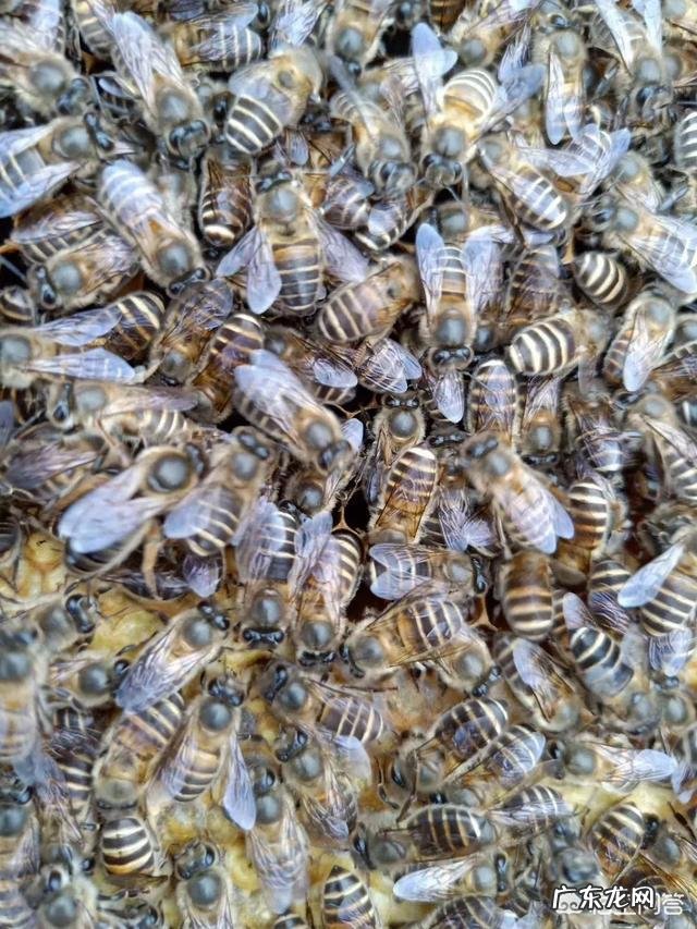 离过婚,相亲的时候遇到和你前妻差不多性格的人,怎么办?