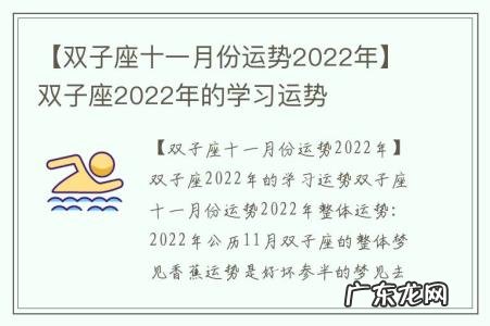 【双子座十一月份运势2022年】双子座2022年的学习运势