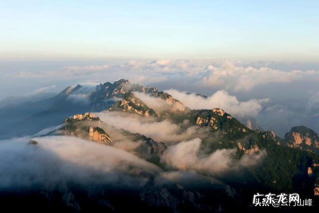 新手应该怎么挑选普洱茶？
