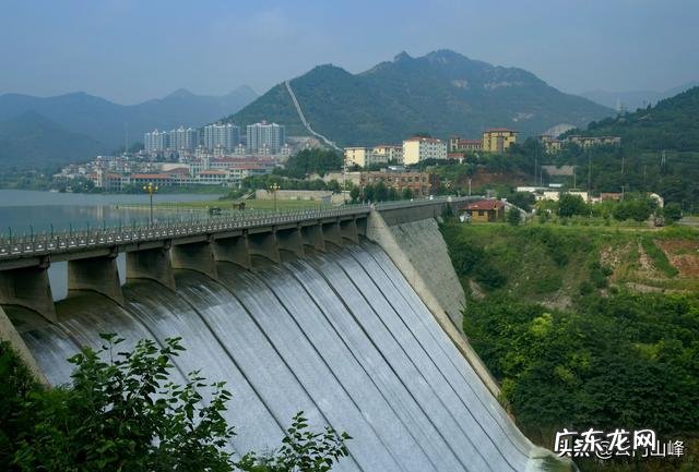 新手应该怎么挑选普洱茶？