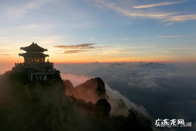 新手应该怎么挑选普洱茶？
