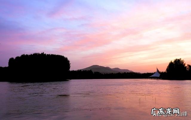 新手应该怎么挑选普洱茶?