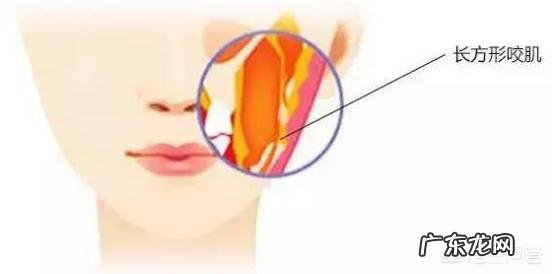 瘦脸针和水光针可以同时打吗?