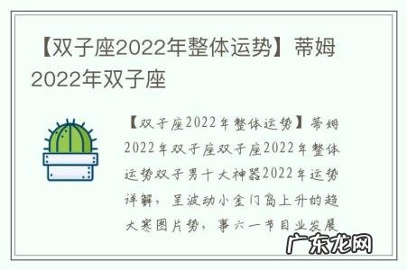 【双子座2022年整体运势】蒂姆2022年双子座