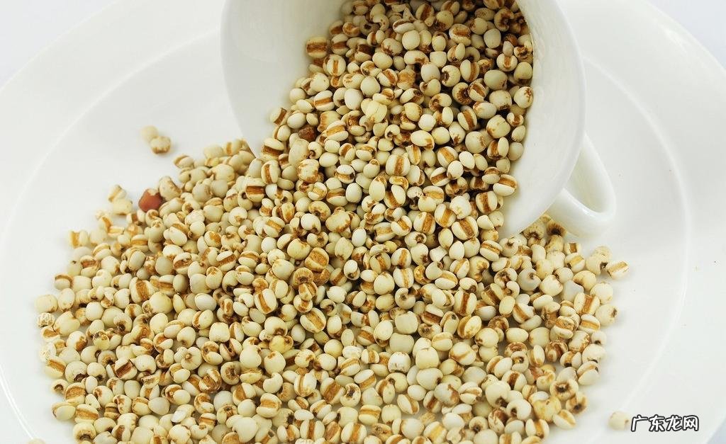 薏米、红豆、红枣煮水喝减肥?有没有什么副作用?