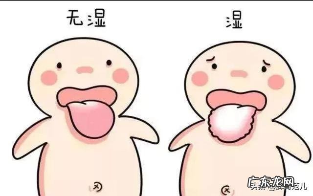 排走身体的湿气,可以快速减掉大肚腩,是不是真的怎样操作才正确